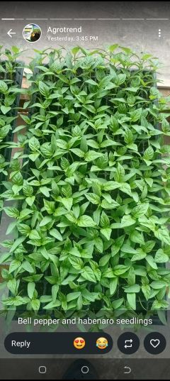 OrganixAgro